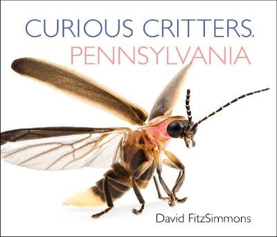 Book cover for Curious Critters Pennsylvania