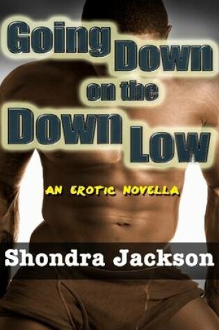 Cover of Going Down on the Down Low