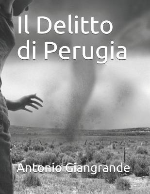 Book cover for Il Delitto di Perugia