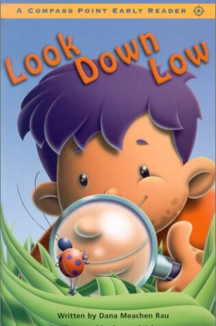 Cover of Look Down Low