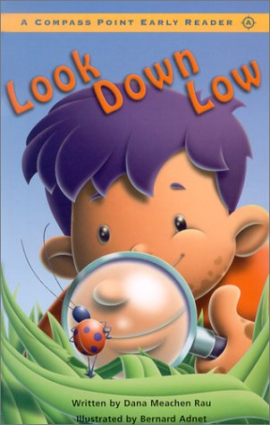 Cover of Look Down Low