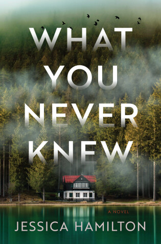 Cover of What You Never Knew