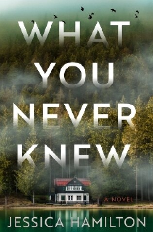 Cover of What You Never Knew