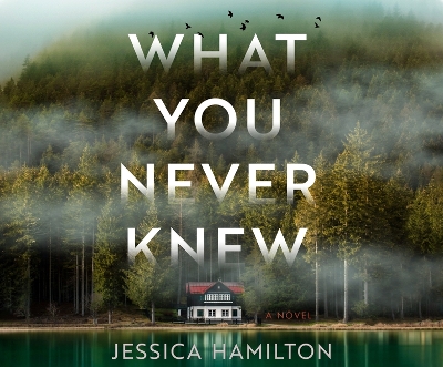 Book cover for What You Never Knew