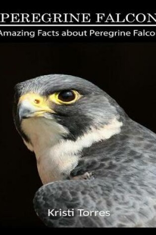 Cover of Amazing Facts about Peregrine Falcon