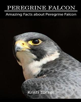Book cover for Amazing Facts about Peregrine Falcon