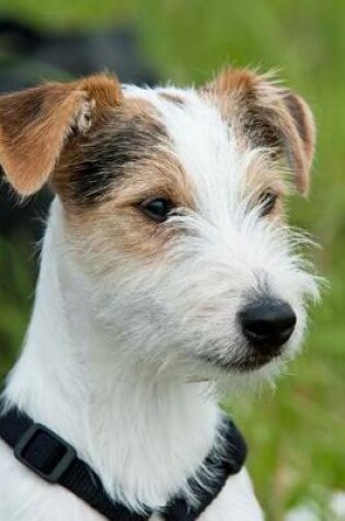 Cover of The Parson Russell Terrier Dog Journal
