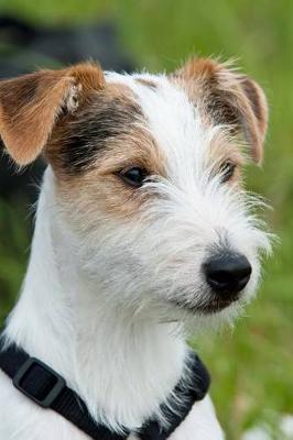 Book cover for The Parson Russell Terrier Dog Journal