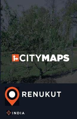 Book cover for City Maps Renukut India