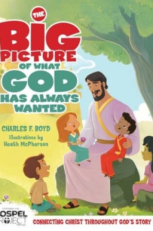 Cover of The Big Picture of What God Has Always Wanted