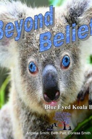 Cover of Beyond Belief