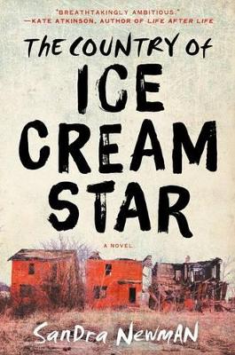 Book cover for The Country of Ice Cream Star