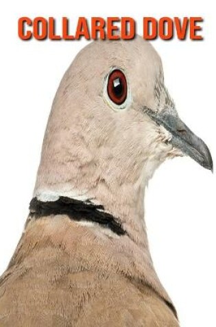 Cover of Collared Dove