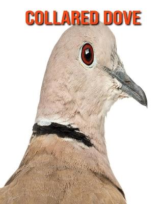 Book cover for Collared Dove