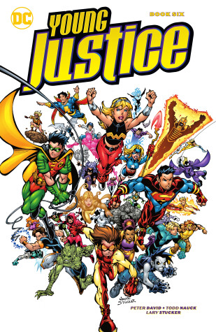 Book cover for Young Justice Book Six