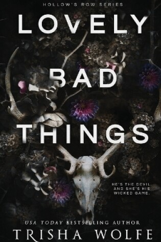 Cover of Lovely Bad Things