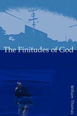 Cover of The Finitudes of God