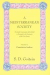 Book cover for A Mediterranean Society, Volume VI