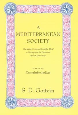 Cover of A Mediterranean Society, Volume VI