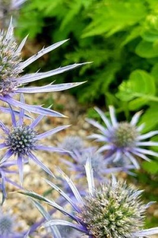 Cover of Thistle Blossoms Notebook