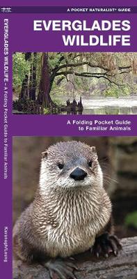 Book cover for Everglades Wildlife