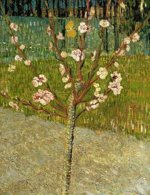 Book cover for Almond Tree in Blossom, Vincent Van Gogh. Ruled Journal