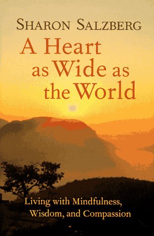 Book cover for A Heart as Wide as the World