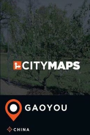 Cover of City Maps Gaoyou China