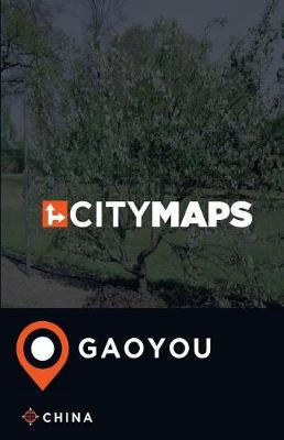 Book cover for City Maps Gaoyou China