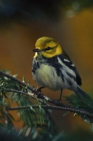 Cover of Black-Throated Green Warbler (Dendroica Virens) Bird Journal