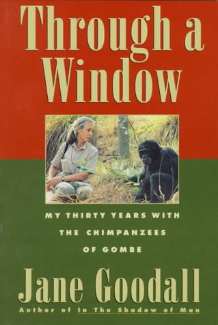 Book cover for Through a Window