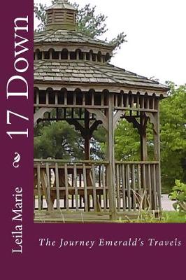 Book cover for 17 Down