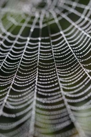 Cover of Orb Spider Web, Jumbo Oversized