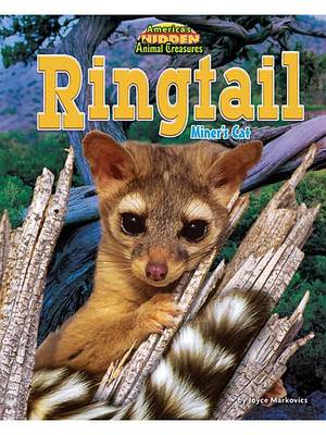 Book cover for Ringtail