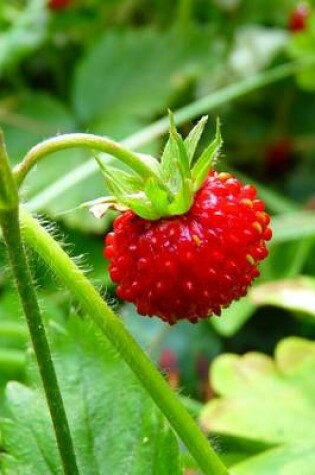 Cover of Wild Strawberry, for the Love of Nature