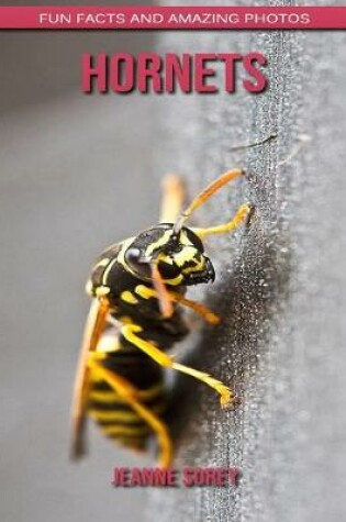 Cover of Hornets