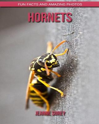 Book cover for Hornets