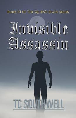 Book cover for Invisible Assassin