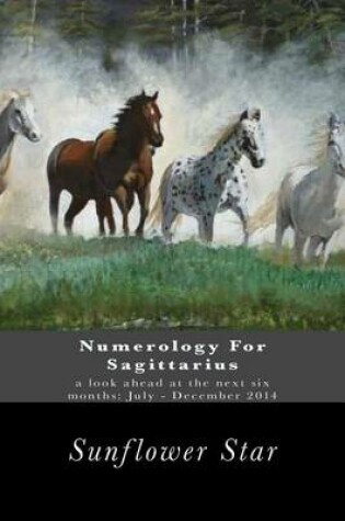 Cover of Numerology for Sagittarius