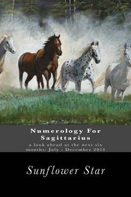 Book cover for Numerology for Sagittarius