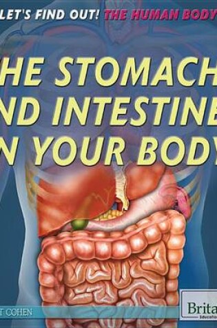 Cover of The Stomach and Intestines in Your Body