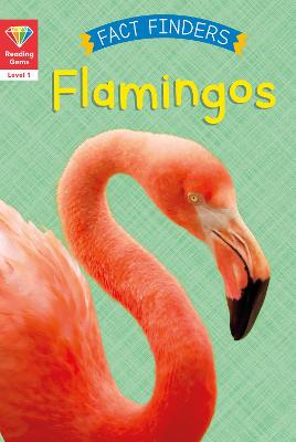 Book cover for Reading Gems Fact Finders: Flamingos (Level 1)