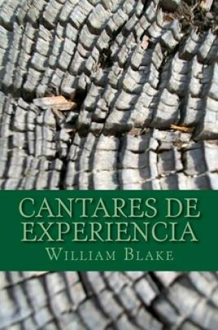 Cover of Cantares de Experiencia