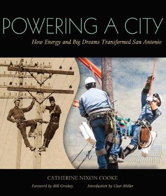 Book cover for Powering a City