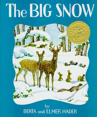 Cover of Big Snow