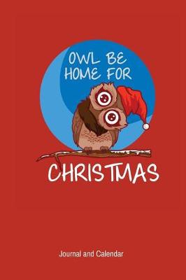 Book cover for Owl Be Home For Christmas