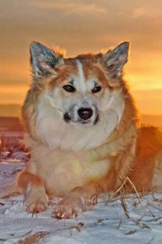 Cover of Icelandic Sheepdog Journal