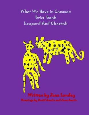 Book cover for Leopard and Cheetah