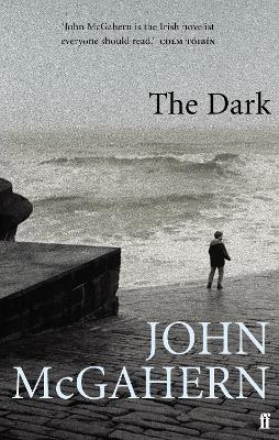 Book cover for The Dark