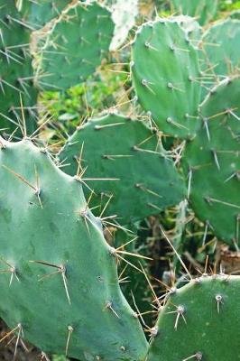 Book cover for Spiky Green Cactus Plant Journal